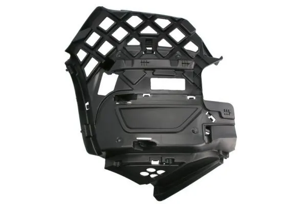 Elemente decorative/protectie portiera