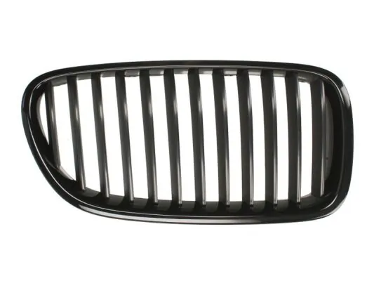Grila radiator