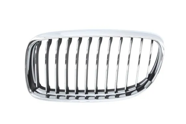 Grila radiator BLIC 6502-07-0062991PQ