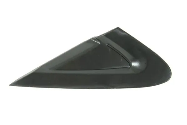 Elemente decorative/protectie aripa