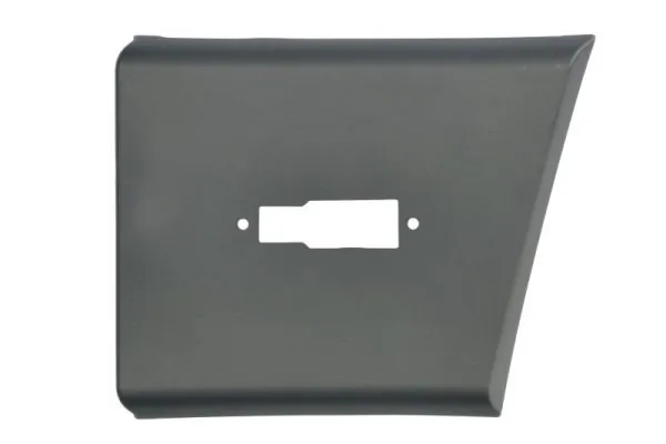 Elemente decorative/protectie aripa