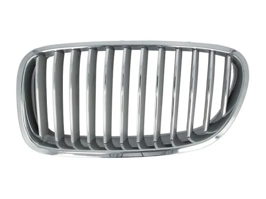 Grila radiator