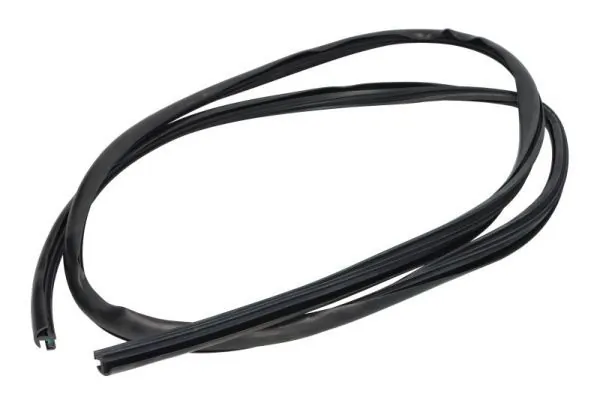 Elemente decorative/protectie parbriz