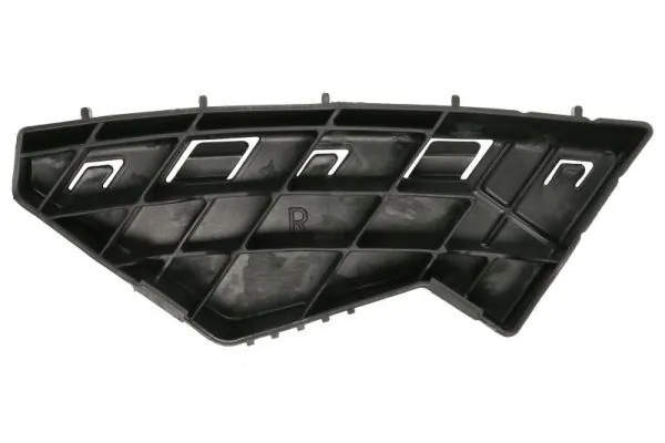 Elemente decorative/protectie, parbriz