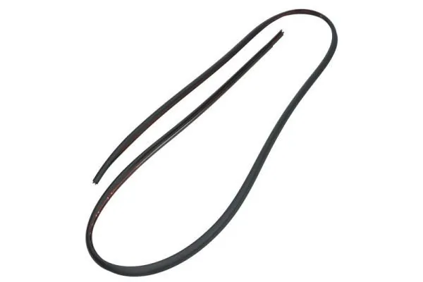 Elemente decorative/protectie parbriz