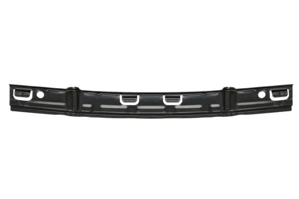 Elemente decorative/protectie parbriz