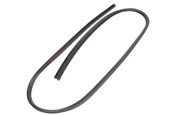 Elemente decorative/protectie parbriz