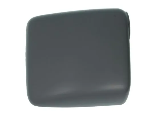 Carcasa oglinda exterioara