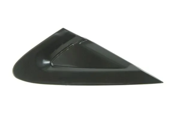 Elemente decorative/protectie aripa