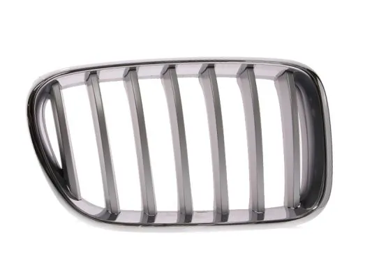 Grila radiator