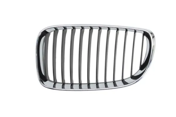 Grila radiator