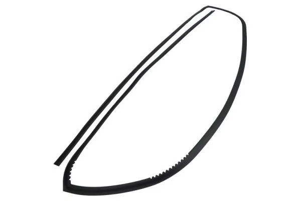 Elemente decorative/protectie parbriz