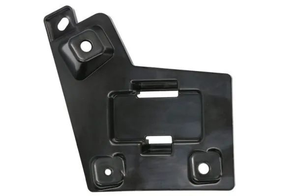 Elemente decorative/protectie parbriz
