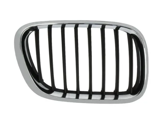 Grila radiator