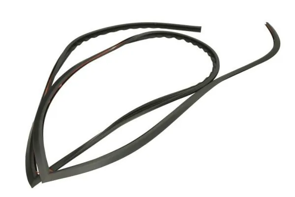 Elemente decorative/protectie parbriz
