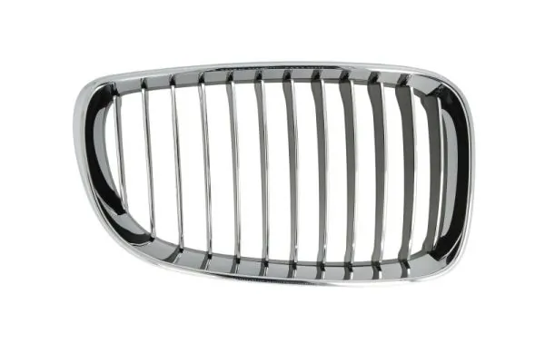 Grila radiator