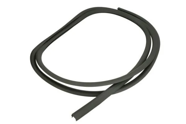 Elemente decorative/protectie parbriz