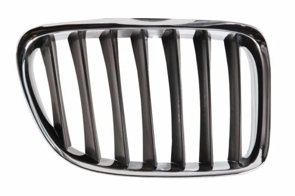 Grila radiator