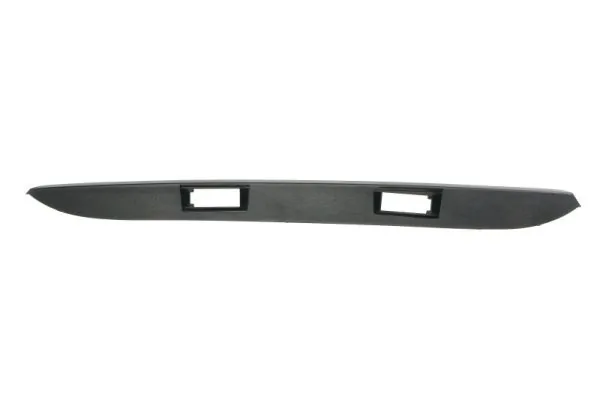 Elemente decorative/protectie portiera