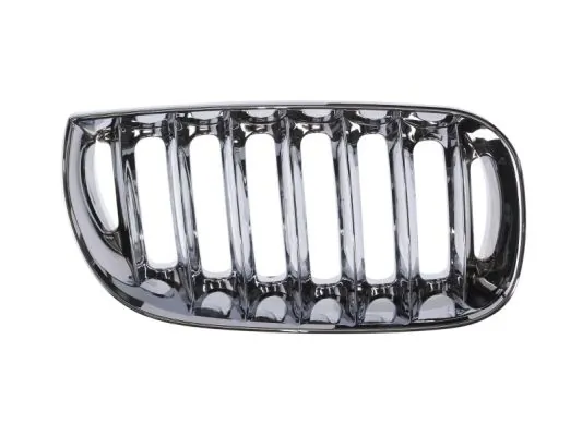 Grila radiator