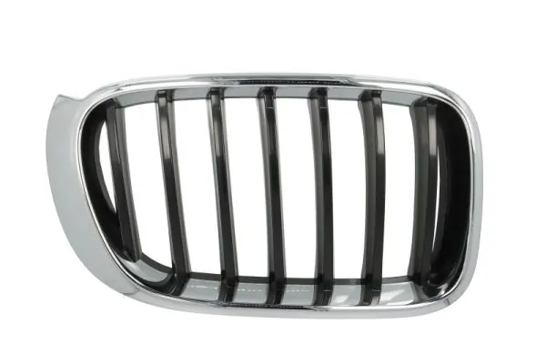 Grila radiator