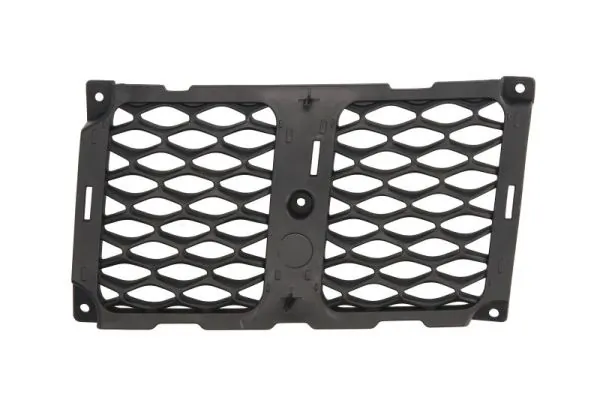 Grila radiator