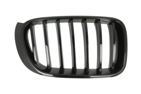 Grila radiator