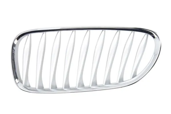 Grila radiator