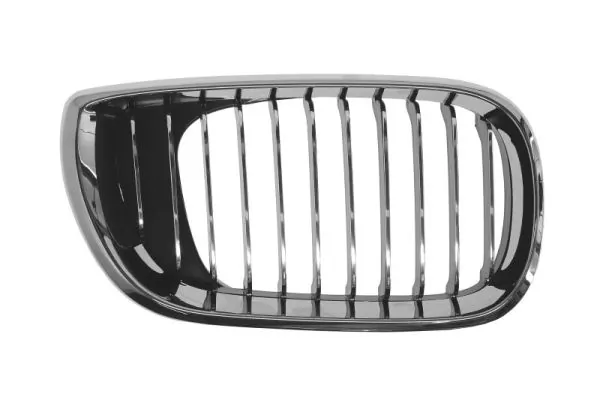 Grila radiator