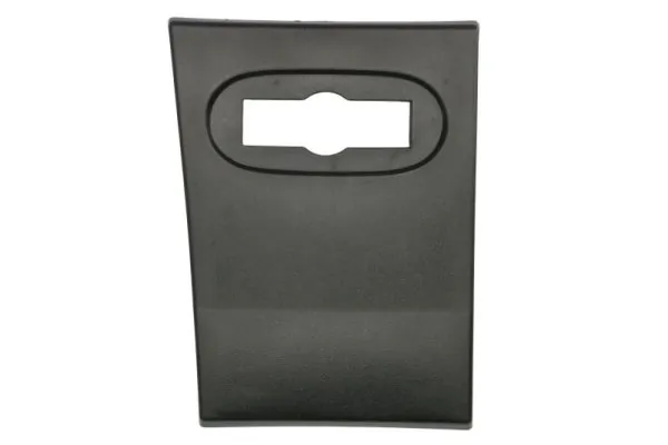 Elemente decorative/protectie panou lateral