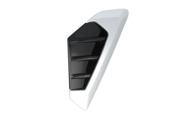 Elemente decorative/protectie aripa