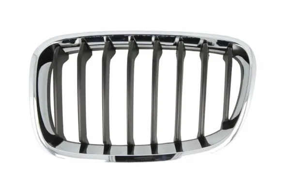 Grila radiator