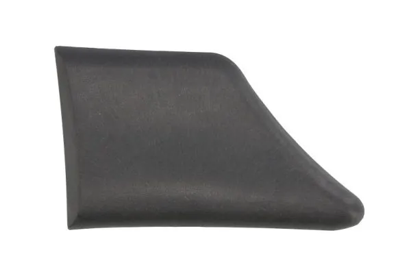 Elemente decorative/protectie aripa