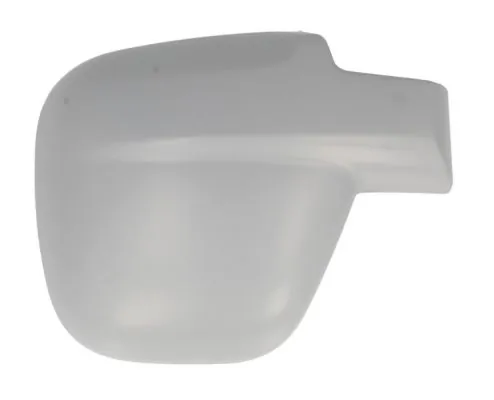 Carcasa oglinda exterioara