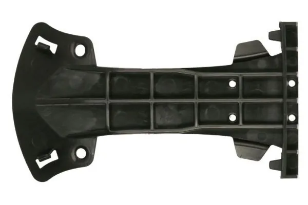 Elemente decorative/protectie, parbriz