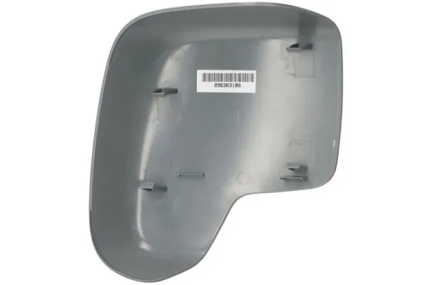 Carcasa oglinda exterioara