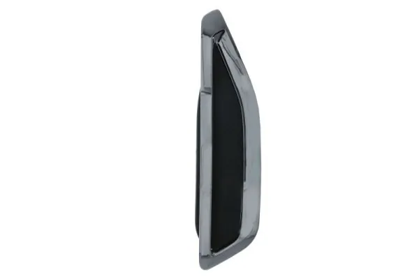 Elemente decorative/protectie aripa