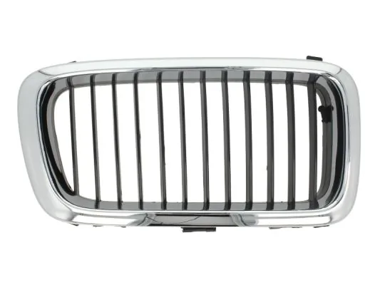 Grila radiator
