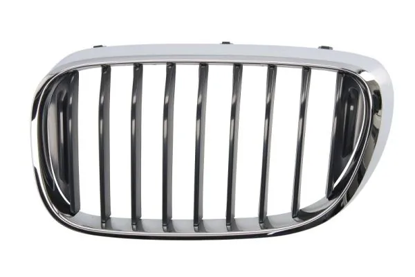 Grila radiator