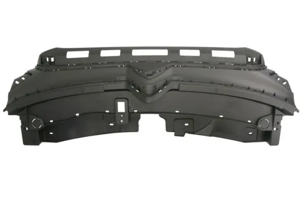 Grila radiator