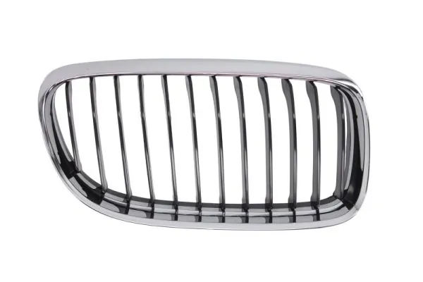 Grila radiator