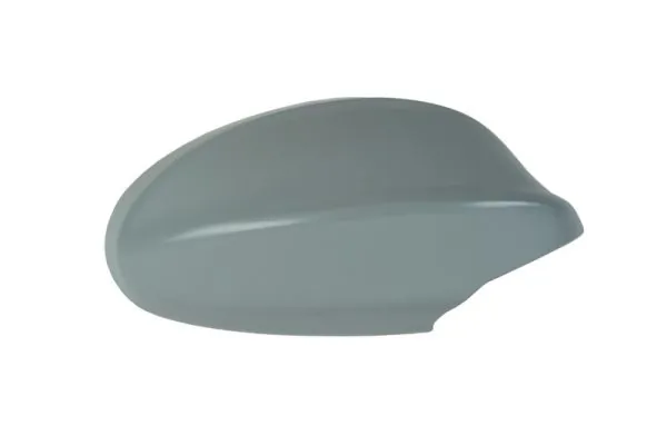 Carcasa oglinda exterioara