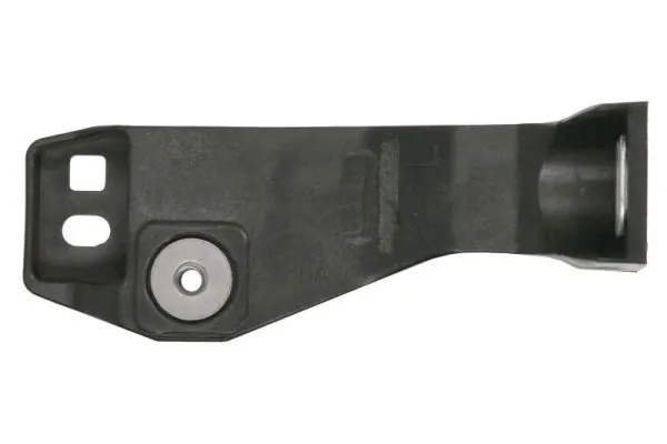 Elemente decorative/protectie parbriz