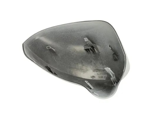 Carcasa oglinda exterioara