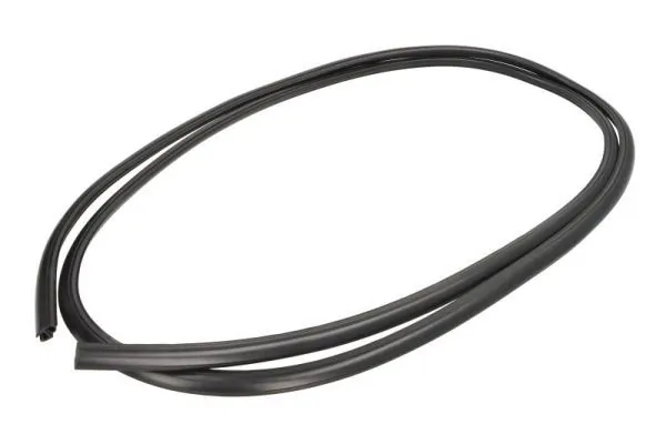 Elemente decorative/protectie parbriz