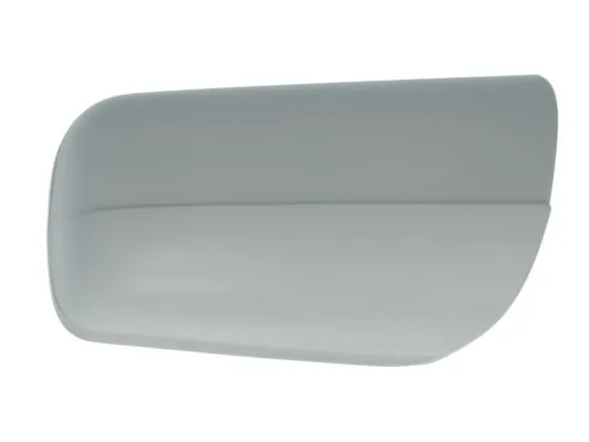 Carcasa oglinda exterioara