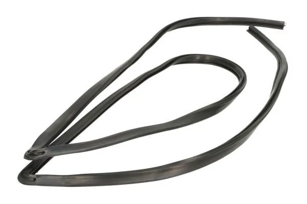 Elemente decorative/protectie parbriz