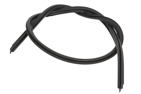 Elemente decorative/protectie, parbriz