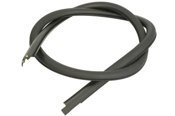 Elemente decorative/protectie parbriz