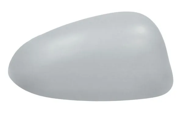 Carcasa oglinda exterioara